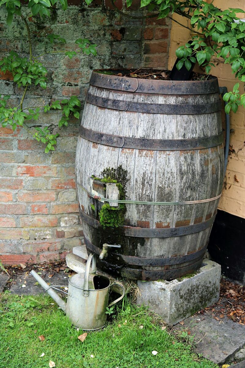 A weathered oak rain barrel with a watering can